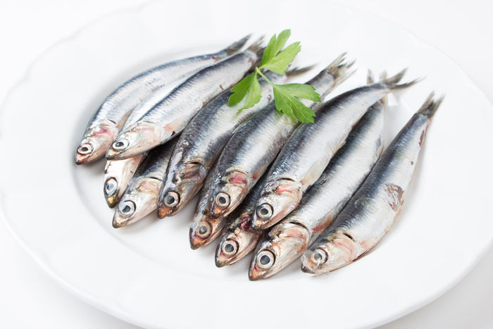 Anchoa (Engraulis encrasicolus)